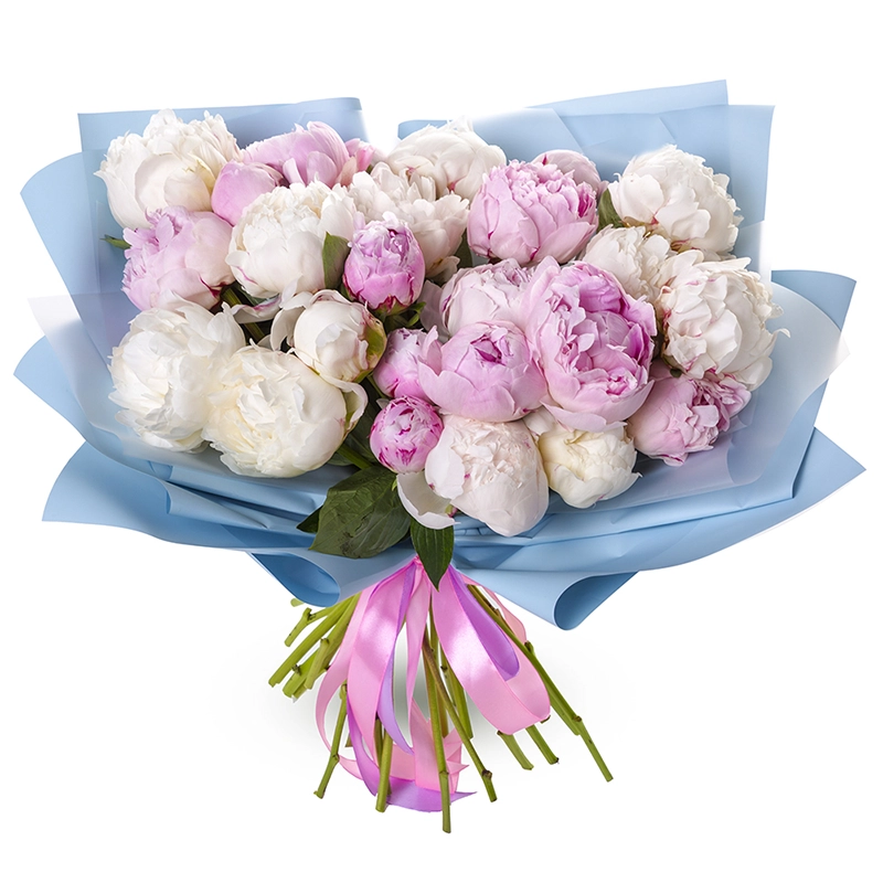 Букет из 25 пионов микс