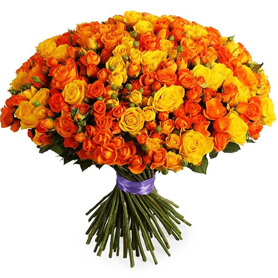 Розы кустовые микс №3